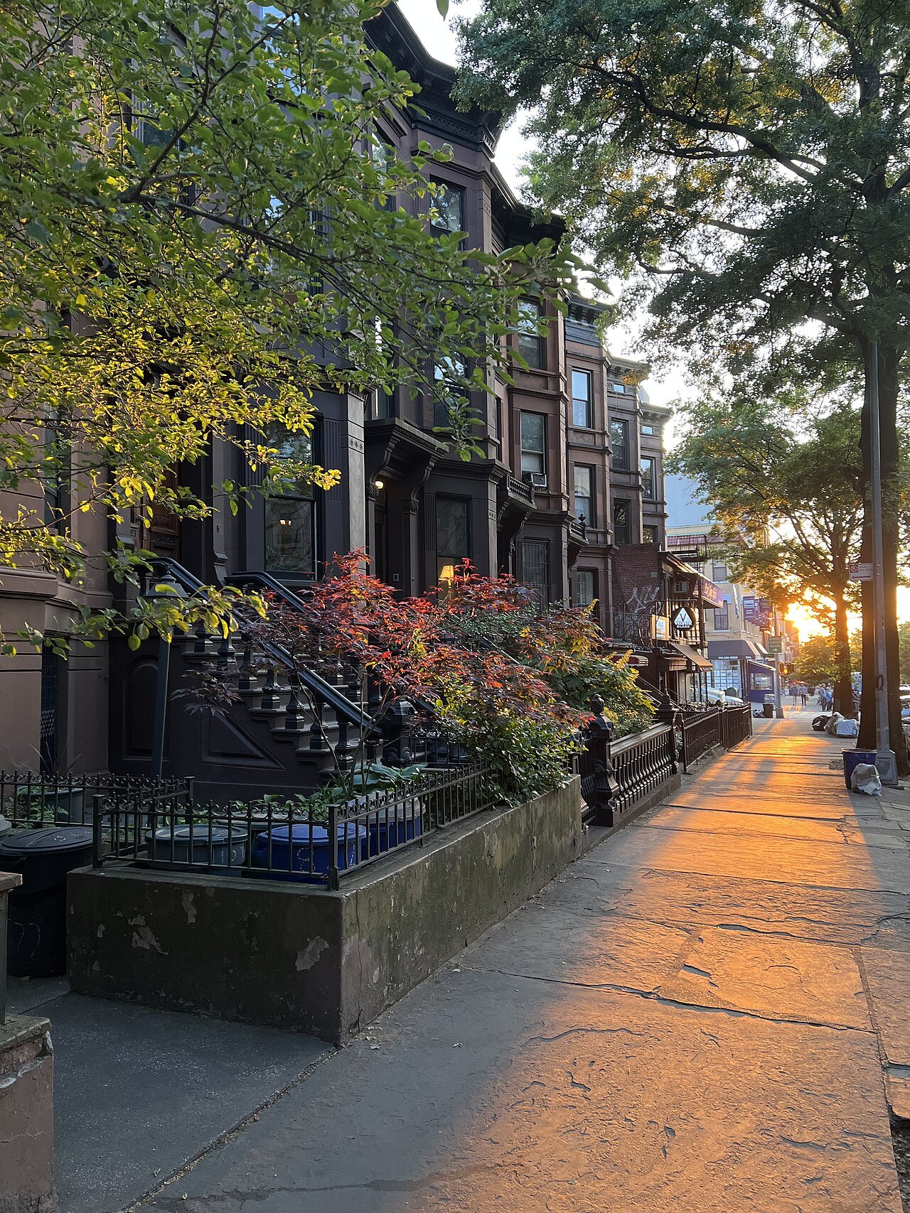 A brownstone street in Park Slope, Brooklyn, lit by a low evening sun
