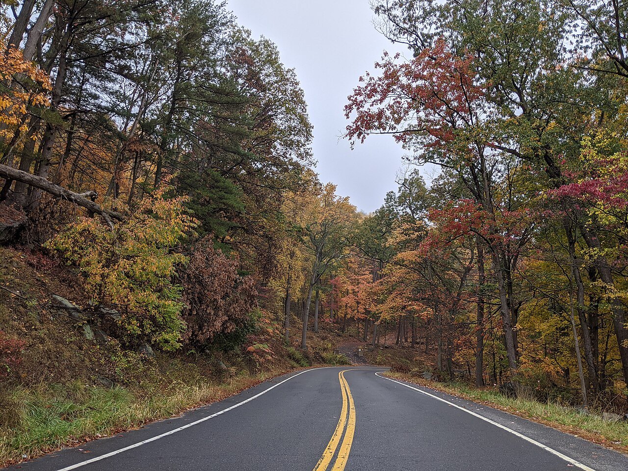 A road through autumn woods at Bear Mountain in the Hudson Valley