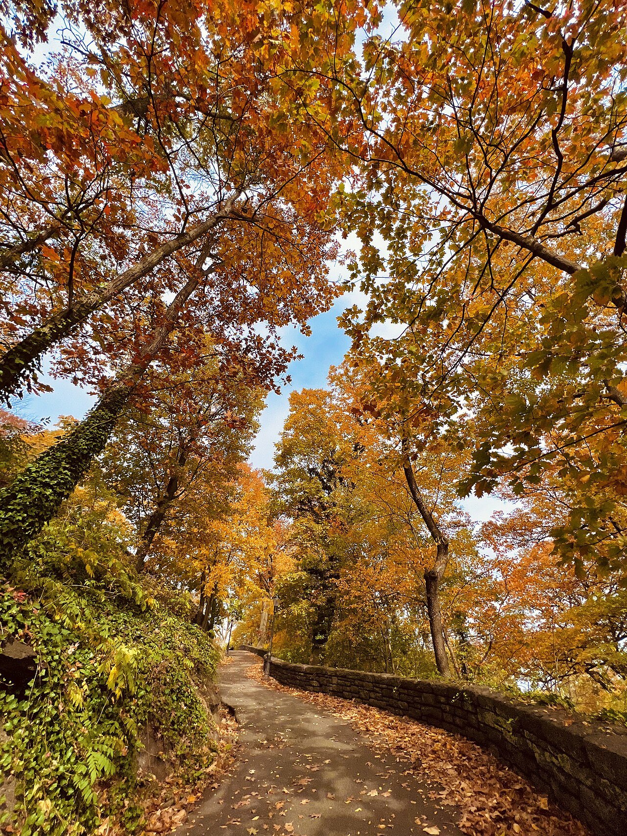 An autumn path under golden trees in Fort Tryon Park