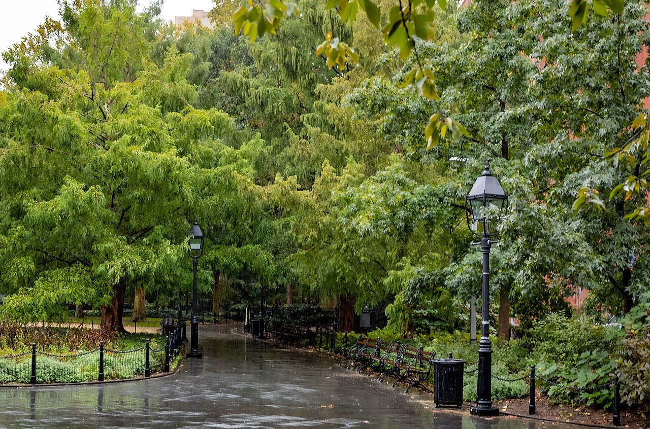 A lamp-lit path under the trees of Washington Square Park after rain