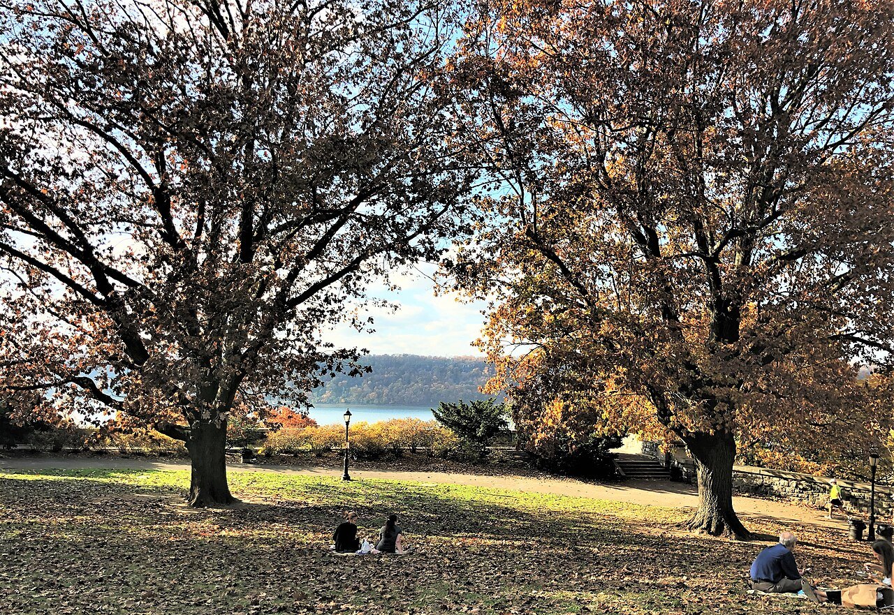 Autumn trees on Billings Lawn in Fort Tryon Park, the Hudson beyond